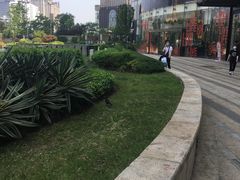 -武汉光谷K11