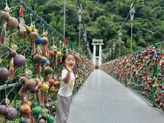 -西双版纳原始森林公园