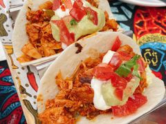 墨西哥鸡肉塔克-Famous肥猫墨西哥音乐餐吧(五棵松华熙LIVE店)