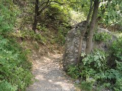 -阳台山自然风景区