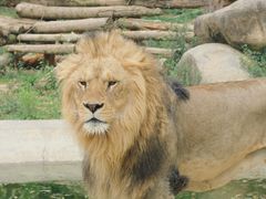 -泉州海丝野生动物世界