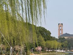 -新江湾城公园