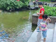 -太湖湾开元名庭大酒店