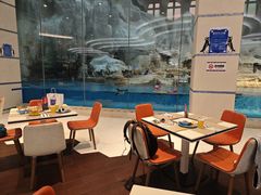 -帝企鹅自助餐厅•儿童岛•真企鹅(长隆企鹅酒店)