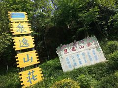 -铁山坪森林公园