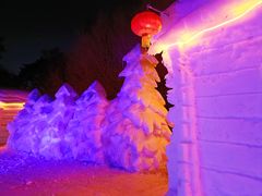 -长春市南湖公园