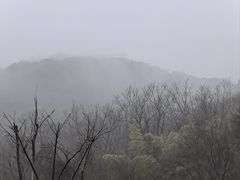 -上海佘山国家森林公园天马山园