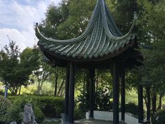 -江滩湿地公园