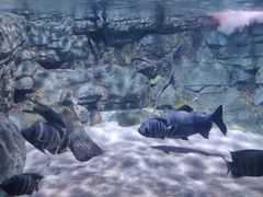 -常州海昌海洋探索馆