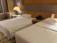 -西安赛瑞喜来登大酒店