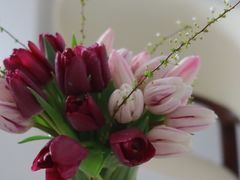 -循礼门鲜花花市(武汉循礼门店)