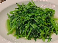 蒜香皇帝菜-日出青木