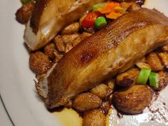 -马迭尔德式西餐精酿啤酒屋(中央大街店)