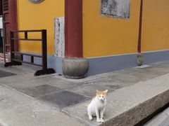 -龙华寺