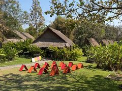 -大象粑粑造纸公园