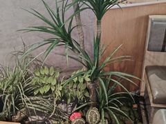 -首开·龙湖成都西宸天街