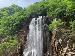 -陕西省红河谷森林公园