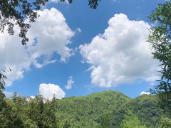 -藏龙百瀑风景区