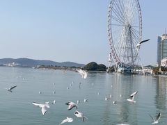 -蠡湖大桥公园