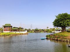 -王借岗森林公园