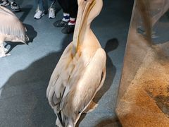 -海合安武汉极地海洋公园