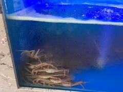 -一号码头蒸汽海鲜自助
