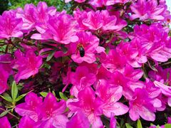 -火候轩品质湘菜·私厨(市府店)