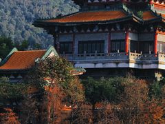 -顺峰山公园