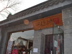 -一棵树(雨儿胡同)