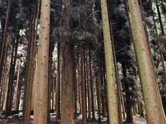 -太阳湾风景区