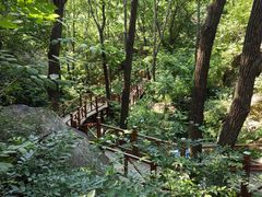 -大岭沟猕猴桃谷风景区