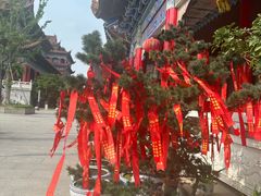 -皇罗禅寺