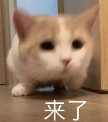 -MOMO·Nail美甲美睫