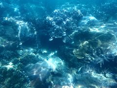 景点-海南分界洲岛旅游区