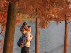 -上海海湾国家森林公园