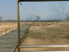 -盘龙城国家考古遗址公园