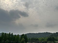 -苏州上方山国家森林公园