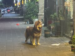 -加餐海鲜自助(集美银泰百货店)