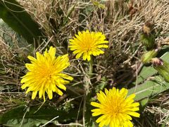 -河南省黄河迎宾馆