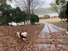 -钟山体育运动公园