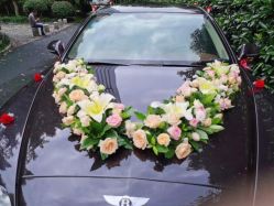 -蚂蚁婚车