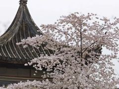 -苏州上方山国家森林公园