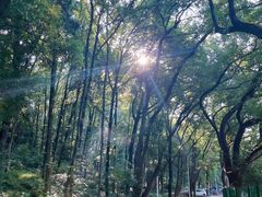 -东湖生态旅游风景区
