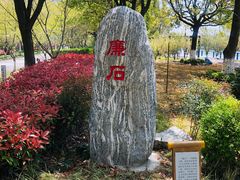 -高东镇樱花园