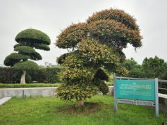 -苏州太湖国际会议中心