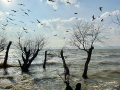 -捞渔河湿地公园