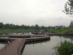 -桤木河湿地公园