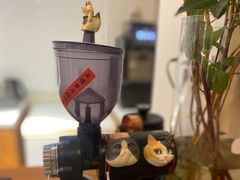 -有猫主题·治愈系猫咖(曾厝垵店)