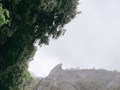 -雁荡山风景名胜区