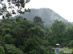 -鼎湖山风景区